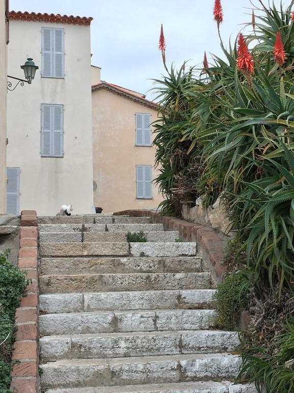 Cap Antibes Les Bosquets Villa Eksteriør billede